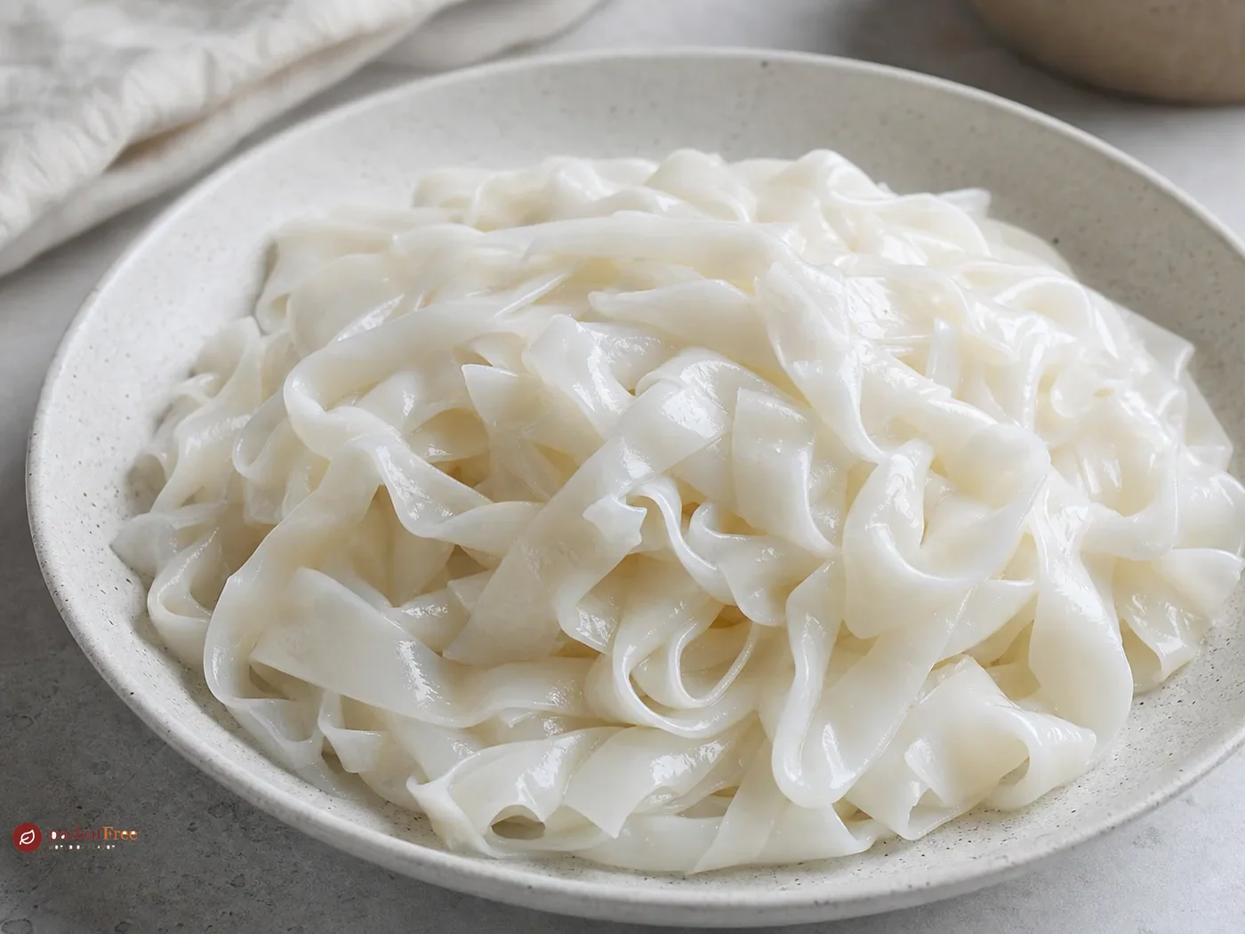 Handmade Fresh Rice Noodles
